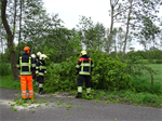 Prio 2 Stormschade Heerenweg Sumar